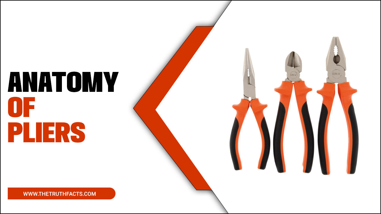 Understanding The Anatomy Of Pliers: A Guide