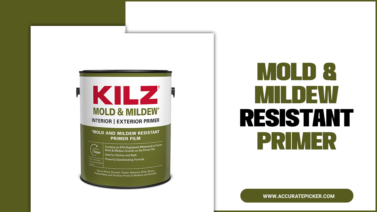 Mold & Mildew Resistant Primer: The Ultimate Solution
